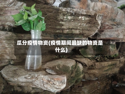 瓜分疫情物资(疫情期间最缺的物资是什么)