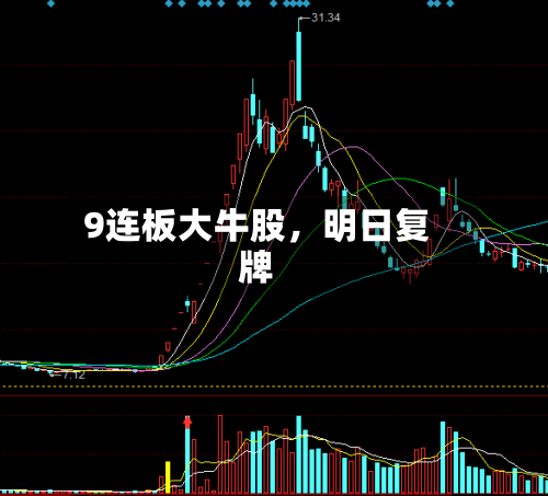 9连板大牛股，明日复牌-第2张图片