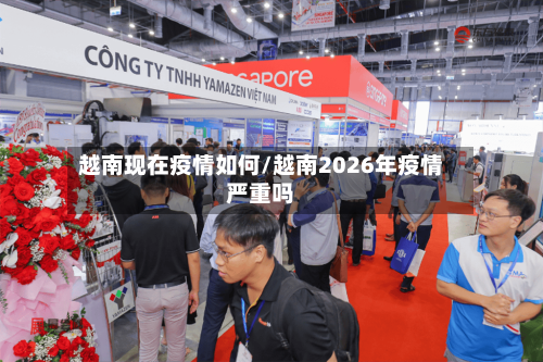 越南现在疫情如何/越南2026年疫情严重吗-第2张图片