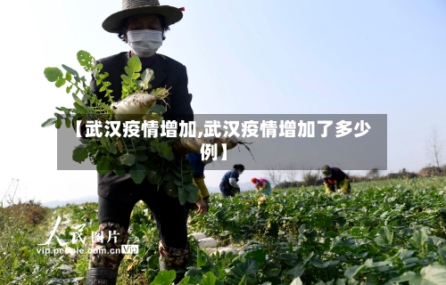 【武汉疫情增加,武汉疫情增加了多少例】-第2张图片