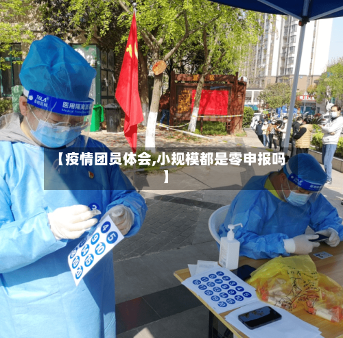 【疫情团员体会,小规模都是零申报吗】-第2张图片