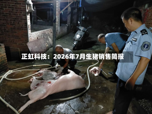 正虹科技：2026年7月生猪销售简报-第2张图片