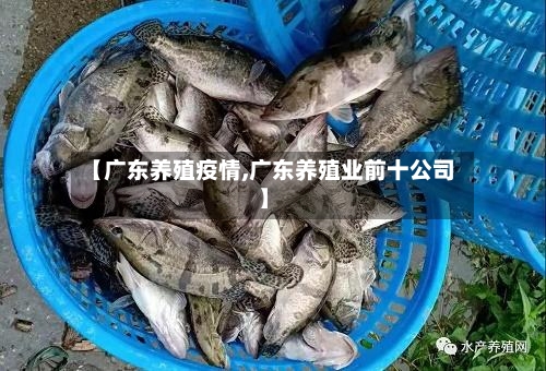 【广东养殖疫情,广东养殖业前十公司】-第2张图片