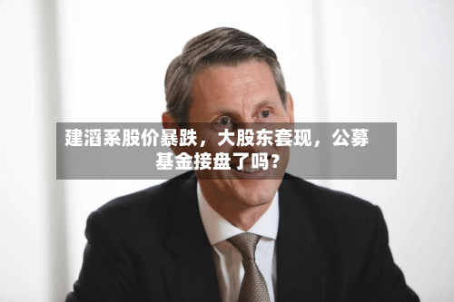 建滔系股价暴跌，大股东套现，公募基金接盘了吗？-第2张图片