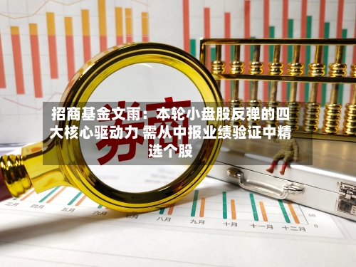 招商基金文雨：本轮小盘股反弹的四大核心驱动力 需从中报业绩验证中精选个股-第2张图片