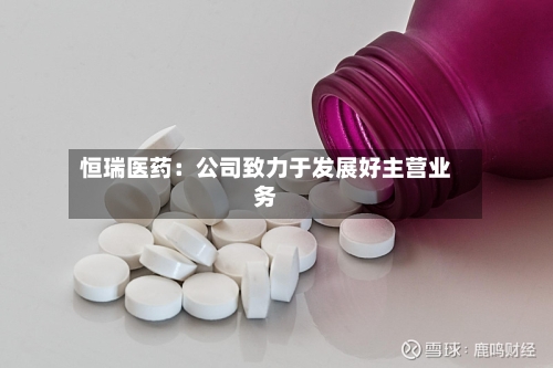 恒瑞医药：公司致力于发展好主营业务