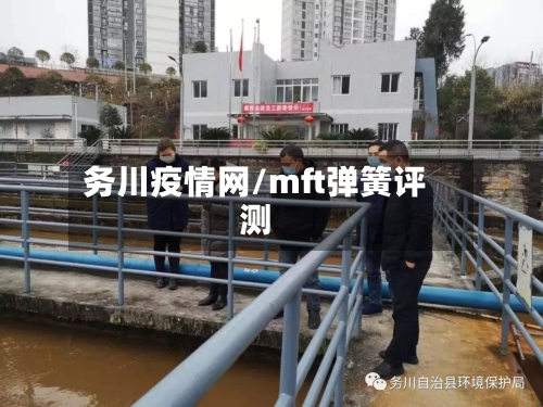务川疫情网/mft弹簧评测-第2张图片
