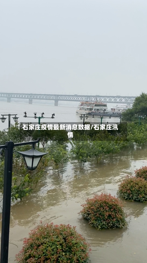 石家庄疫情最新消息数据/石家庄汛情