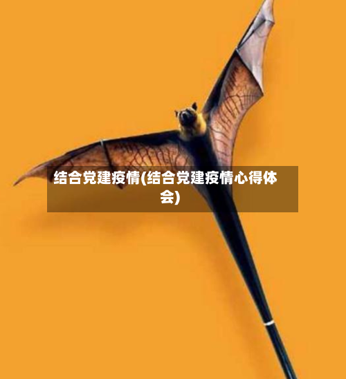 结合党建疫情(结合党建疫情心得体会)-第2张图片