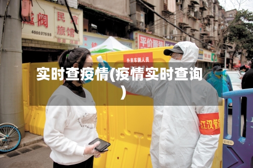 实时查疫情(疫情实时查询)-第3张图片