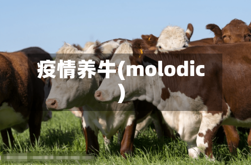 疫情养牛(molodic)-第2张图片