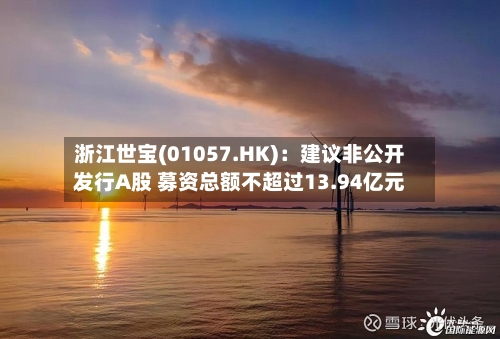 浙江世宝(01057.HK)：建议非公开发行A股 募资总额不超过13.94亿元-第2张图片