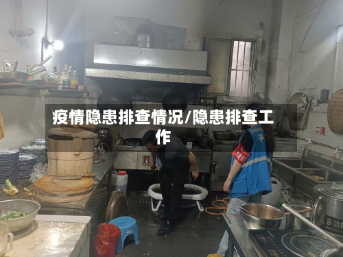 疫情隐患排查情况/隐患排查工作-第2张图片