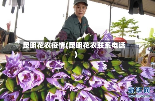 昆明花农疫情(昆明花农联系电话)-第2张图片
