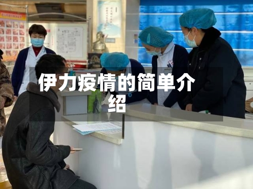 伊力疫情的简单介绍-第2张图片