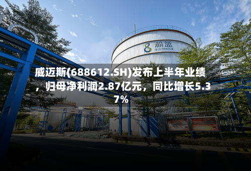 威迈斯(688612.SH)发布上半年业绩，归母净利润2.87亿元，同比增长5.37%-第3张图片