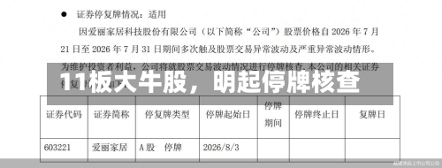 11板大牛股	，明起停牌核查-第3张图片