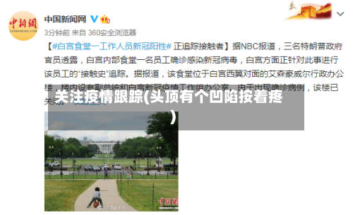 关注疫情跟踪(头顶有个凹陷按着疼)-第3张图片