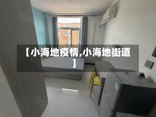 【小海地疫情,小海地街道】-第3张图片