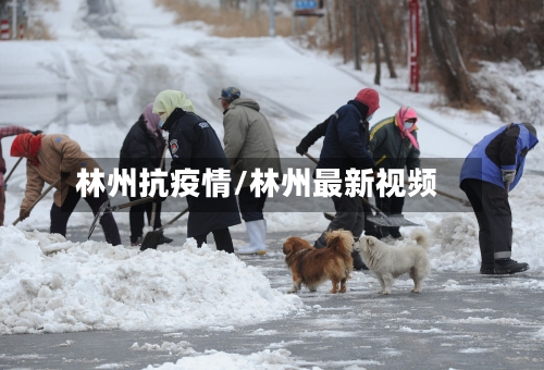 林州抗疫情/林州最新视频