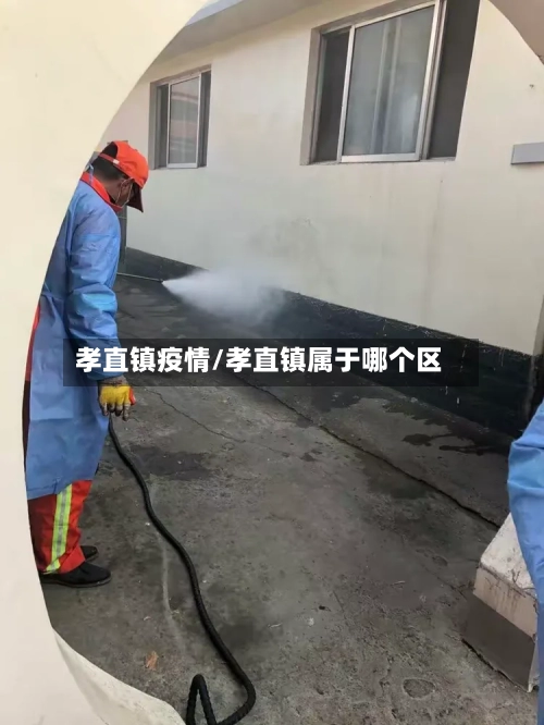 孝直镇疫情/孝直镇属于哪个区
