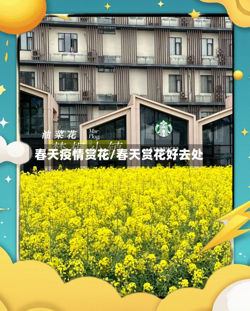 春天疫情赏花/春天赏花好去处