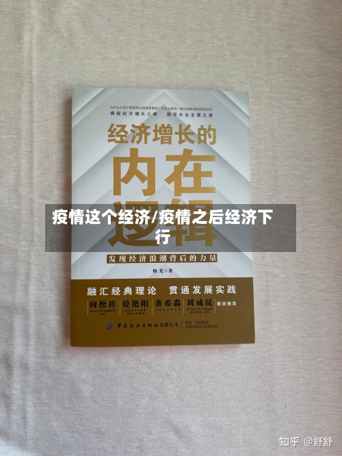 疫情这个经济/疫情之后经济下行-第2张图片