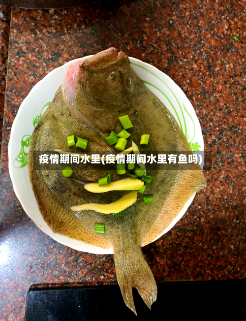 疫情期间水里(疫情期间水里有鱼吗)-第2张图片