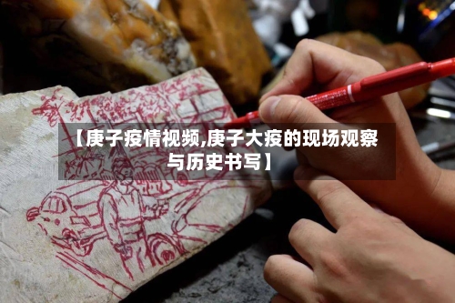 【庚子疫情视频,庚子大疫的现场观察与历史书写】