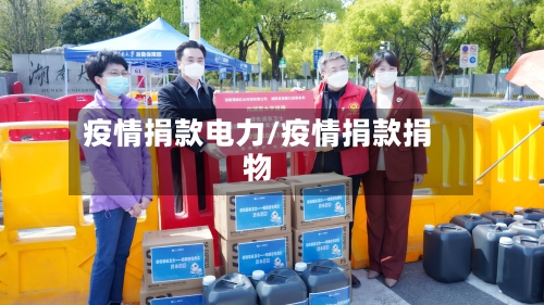 疫情捐款电力/疫情捐款捐物