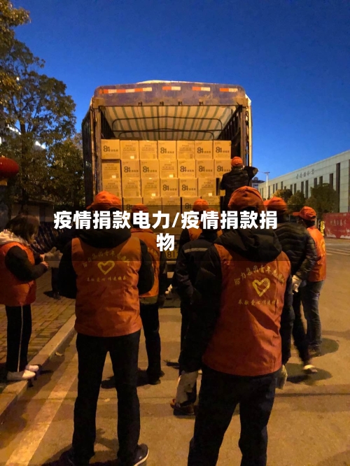 疫情捐款电力/疫情捐款捐物-第2张图片