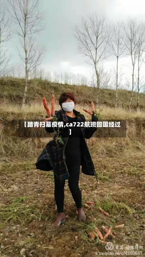 【踏青扫墓疫情,ca722航班回国经过】