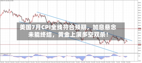 美国7月CPI全线符合预期，加息悬念未能终结	，黄金上演多空双杀！-第2张图片