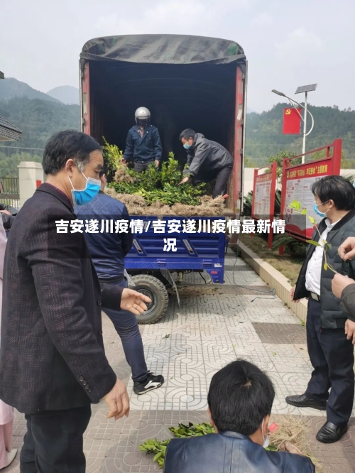 吉安遂川疫情/吉安遂川疫情最新情况-第3张图片