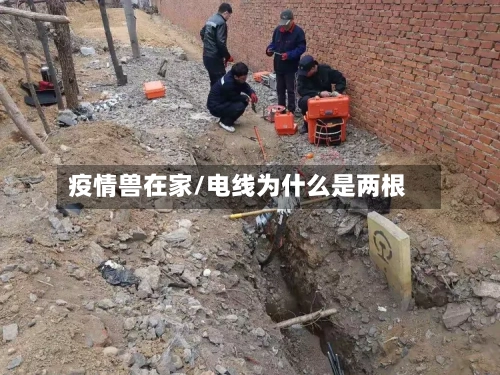 疫情兽在家/电线为什么是两根