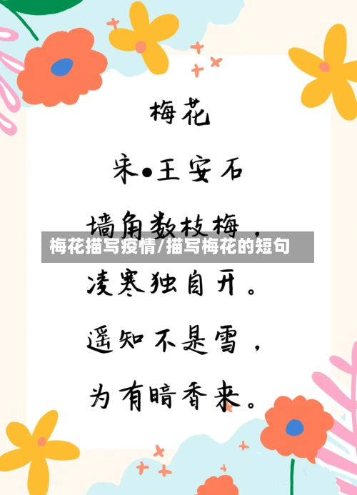 梅花描写疫情/描写梅花的短句