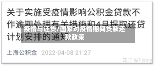 疫情与还贷/国家对疫情期间贷款还款政策-第2张图片