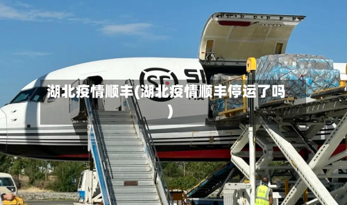 湖北疫情顺丰(湖北疫情顺丰停运了吗)-第2张图片