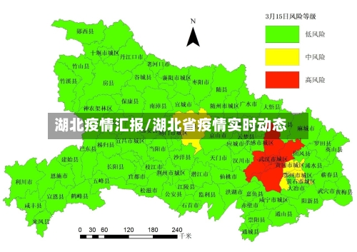 湖北疫情汇报/湖北省疫情实时动态-第3张图片
