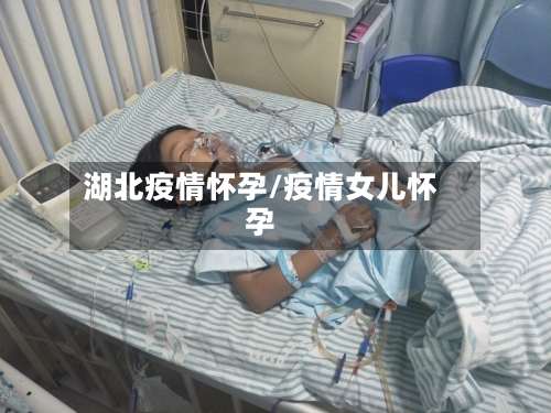 湖北疫情怀孕/疫情女儿怀孕-第2张图片