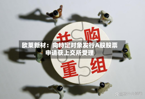 欧莱新材:向特定对象发行A股股票申请获上交所受理-第3张图片