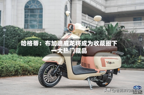 哈格蒂:布加迪威龙将成为收藏圈下一大热门藏品-第3张图片