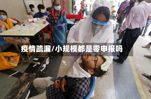 疫情疏漏/小规模都是零申报吗