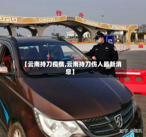 【云南持刀疫情,云南持刀伤人最新消息】-第2张图片