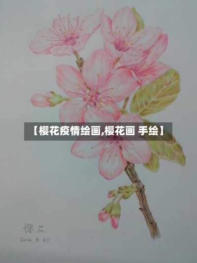 【樱花疫情绘画,樱花画 手绘】-第2张图片