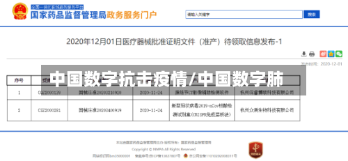 中国数字抗击疫情/中国数字肺-第3张图片