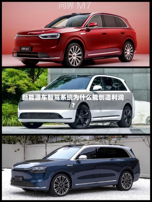 新能源车智驾系统为什么能创造利润？-第2张图片