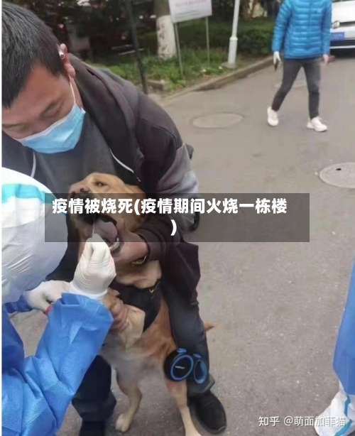 疫情被烧死(疫情期间火烧一栋楼)-第2张图片