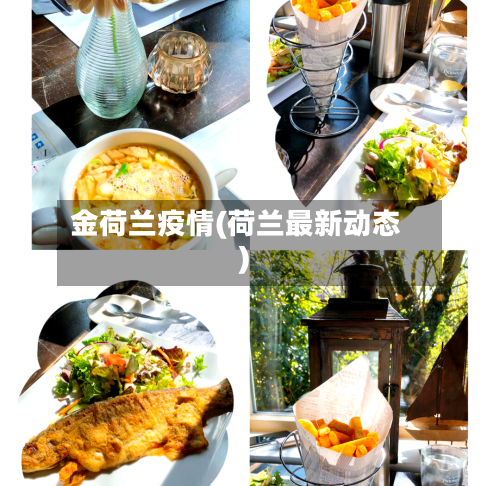 金荷兰疫情(荷兰最新动态)