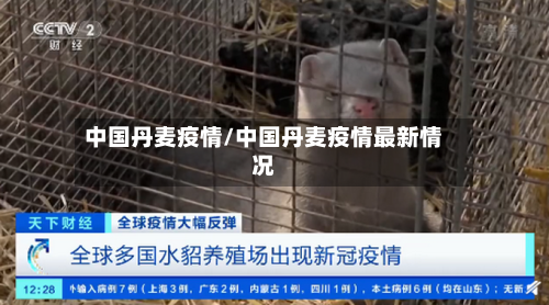 中国丹麦疫情/中国丹麦疫情最新情况-第2张图片